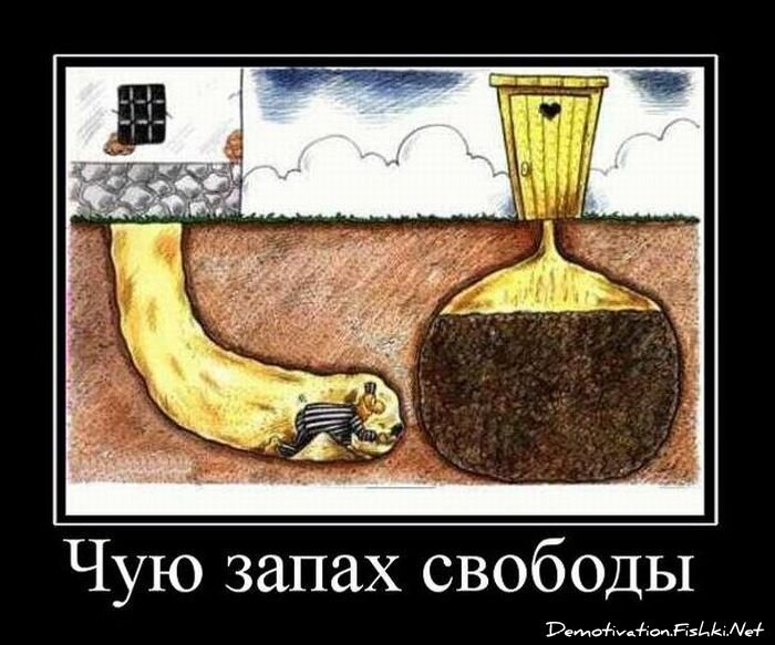 Смешной демотиватор от zubrilov за 27.04.2011 №75462