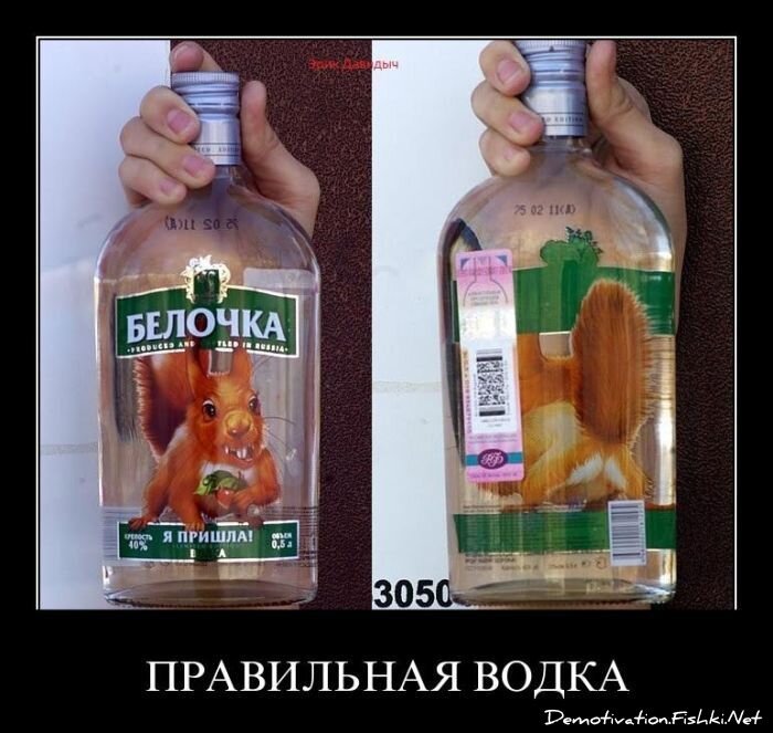 Смешной демотиватор от zubrilov за 29.04.2011 №75613