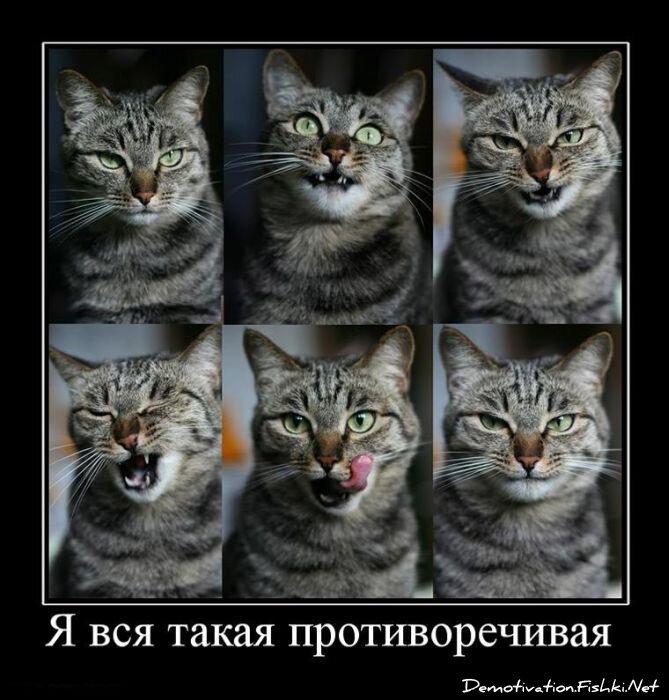 Смешной демотиватор от zubrilov за 29.04.2011 №75634