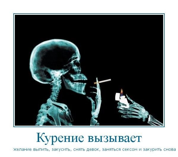 Смешной демотиватор от zubrilov за 29.04.2011 №75648