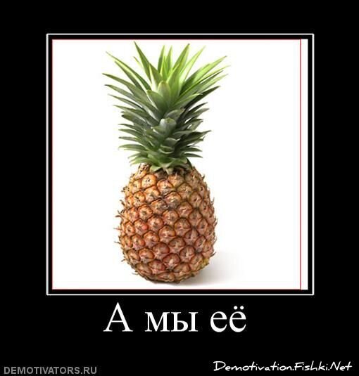 Смешной демотиватор от zubrilov за 29.04.2011 №75666