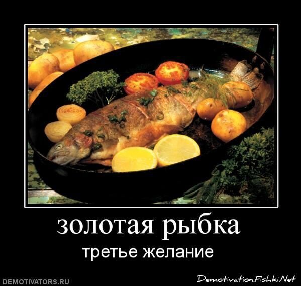 Смешной демотиватор от zubrilov за 29.04.2011 №75671