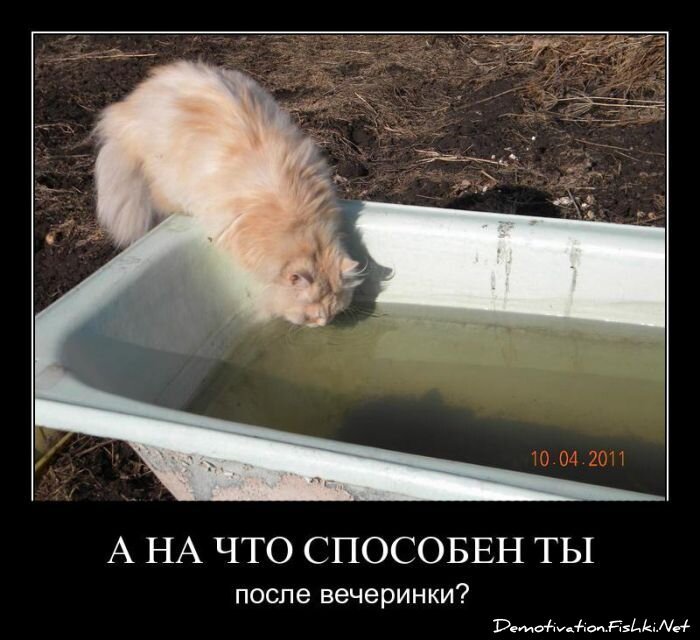 Смешной демотиватор от zubrilov за 04.05.2011 №75938