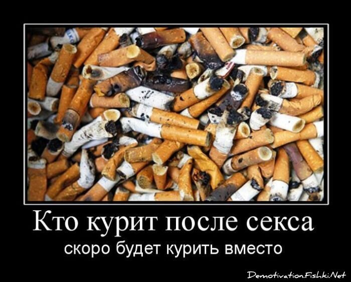 Смешной демотиватор от zubrilov за 04.05.2011 №75952