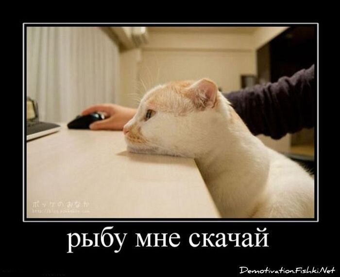 Смешной демотиватор от zubrilov за 04.05.2011 №75968
