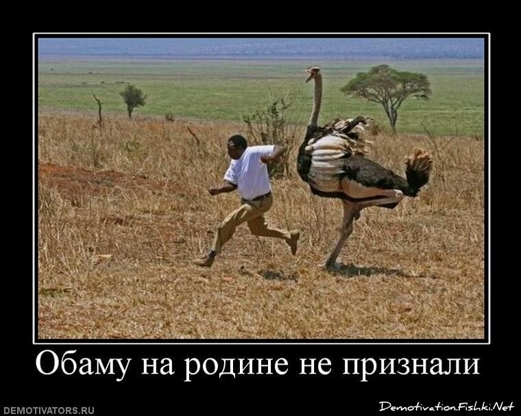 Смешной демотиватор от zubrilov за 04.05.2011 №75976