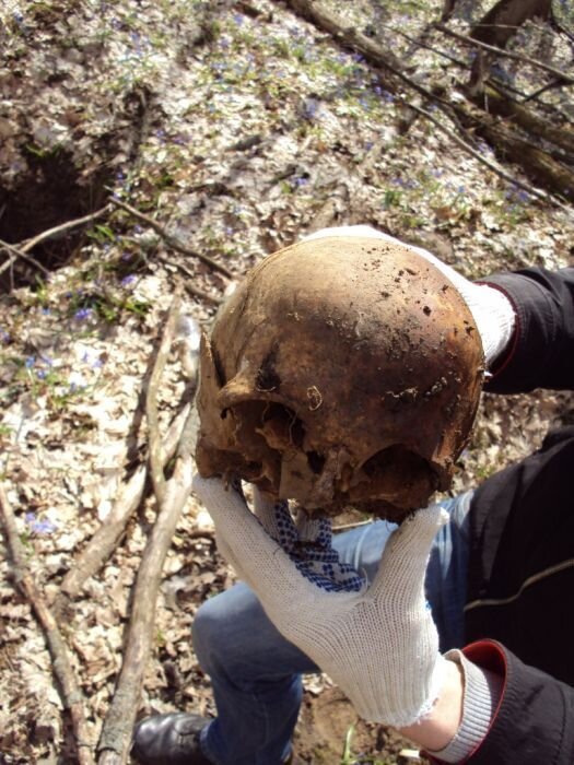 "Эхо войны" (14 фото)