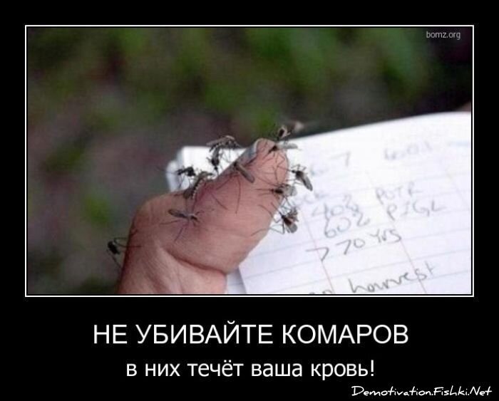 Смешной демотиватор от zubrilov за 06.05.2011 №76206