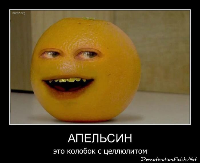 Смешной демотиватор от zubrilov за 06.05.2011 №76214