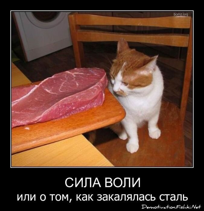 Смешной демотиватор от zubrilov за 06.05.2011 №76239