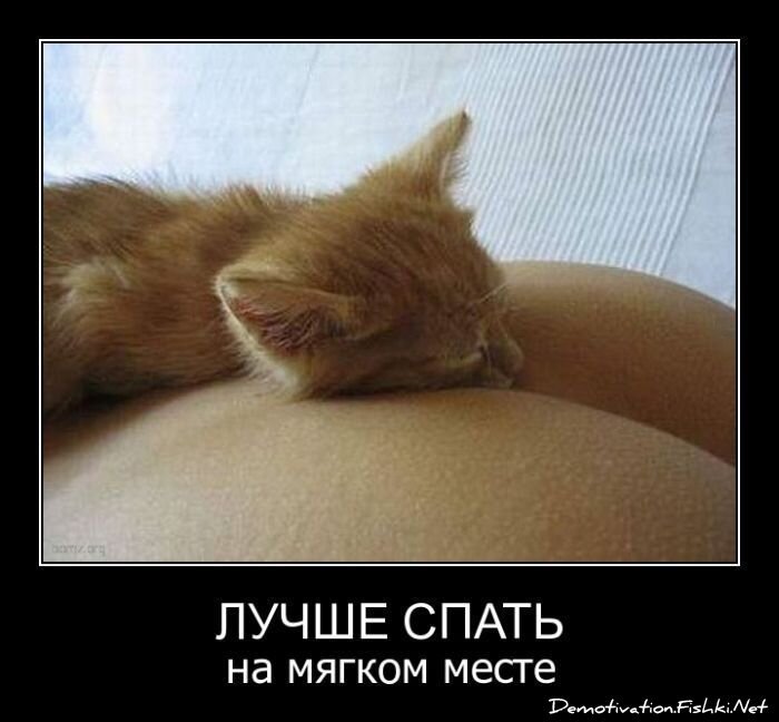 Смешной демотиватор от zubrilov за 06.05.2011 №76241