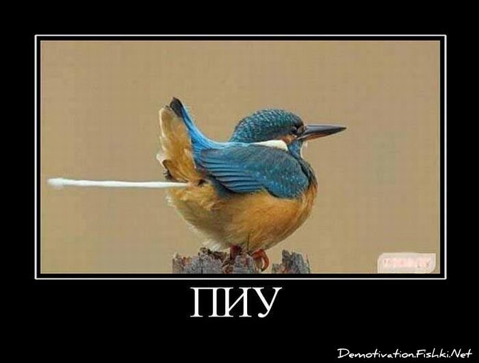 Смешной демотиватор от zubrilov за 06.05.2011 №76246