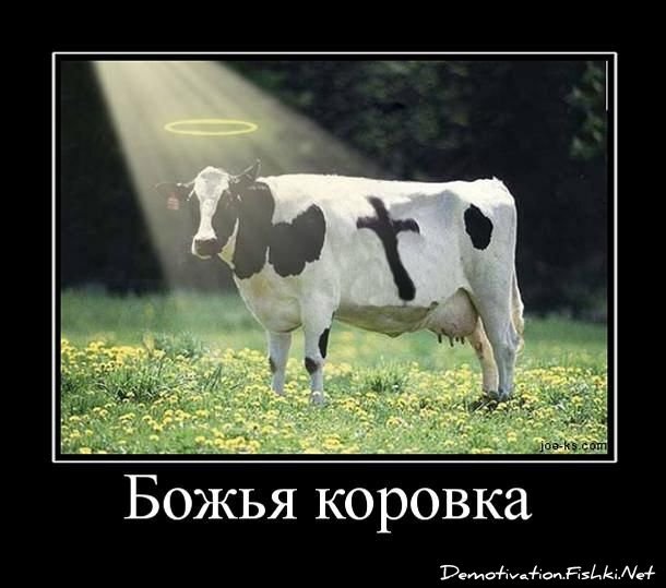 Смешной демотиватор от zubrilov за 06.05.2011 №76252