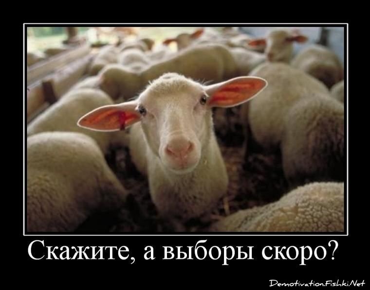 Смешной демотиватор от zubrilov за 06.05.2011 №76254