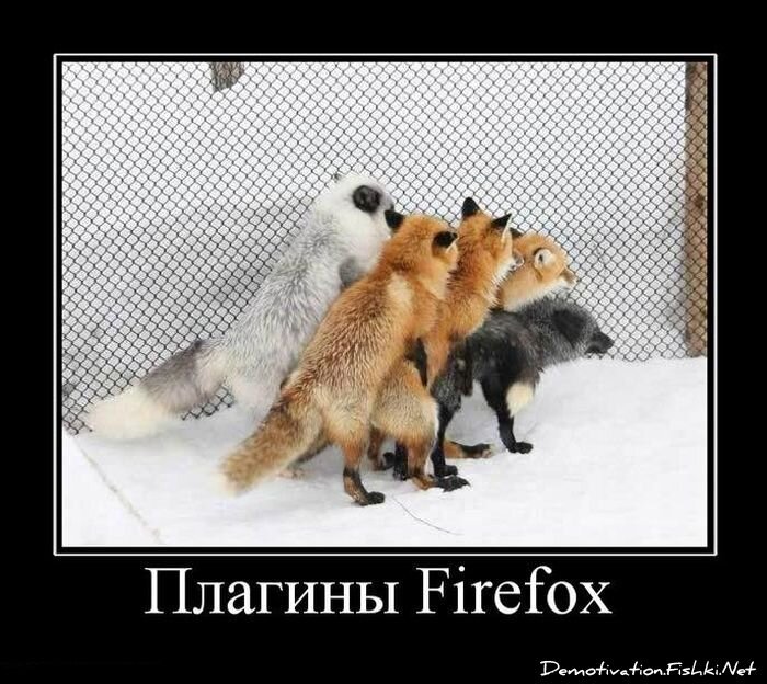 Демотиватор