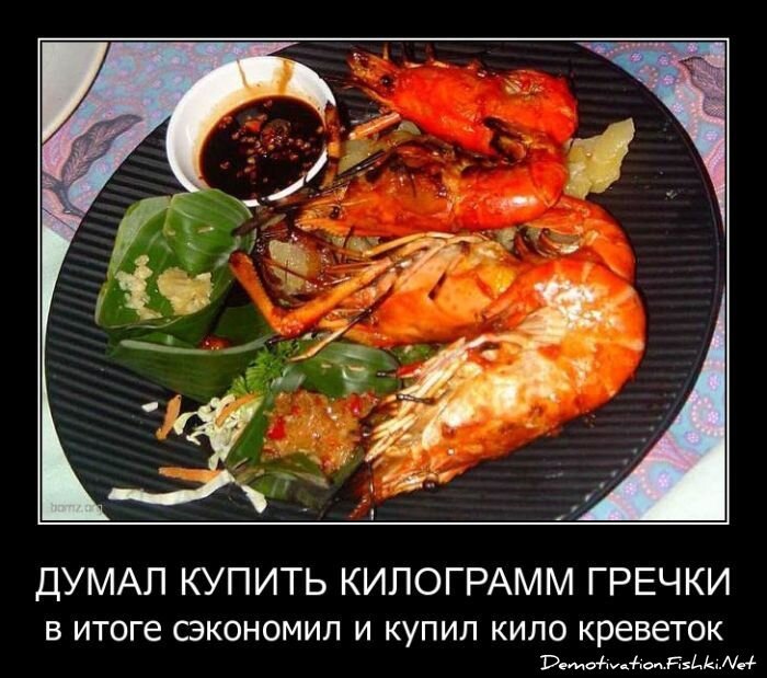 Смешной демотиватор от zubrilov за 11.05.2011 №76493