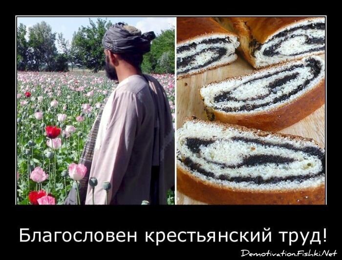 Смешной демотиватор от zubrilov за 11.05.2011 №76496