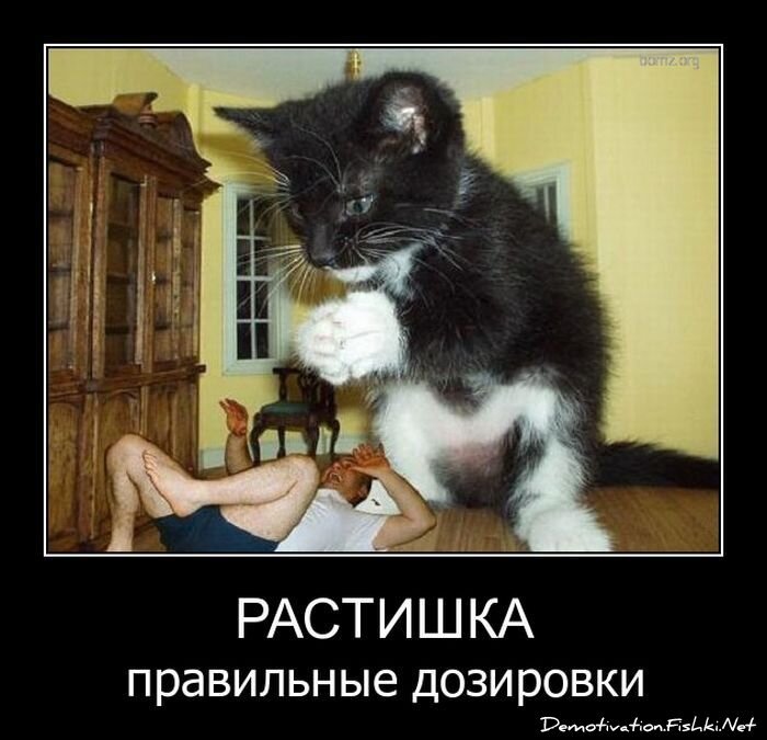 Смешной демотиватор от zubrilov за 11.05.2011 №76497