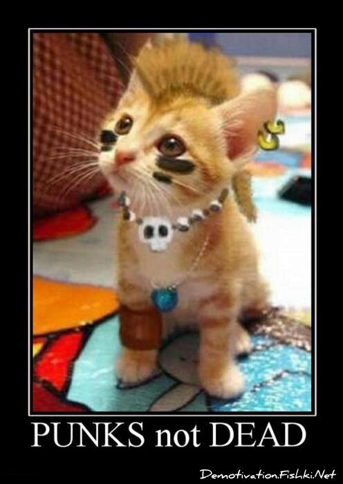 Смешной демотиватор от zubrilov за 11.05.2011 №76501