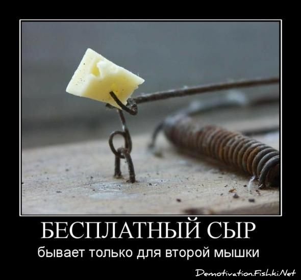 Смешной демотиватор от zubrilov за 11.05.2011 №76541