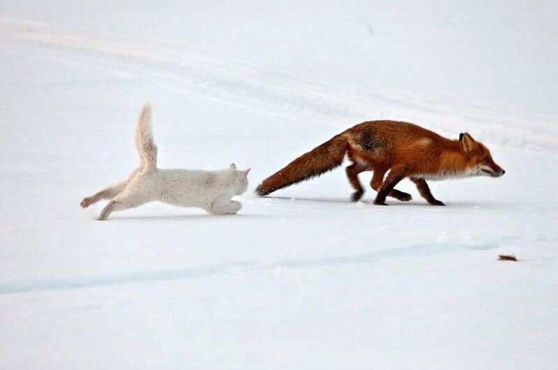 Прикольные фото и картинки от zubrilov за 17.05.2011 №76995