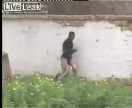 Подборка роликов