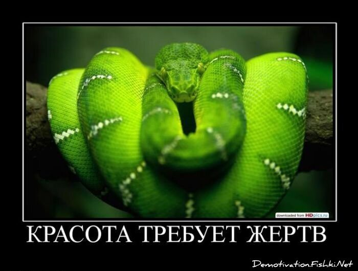 Смешной демотиватор от zubrilov за 20.05.2011 №77341