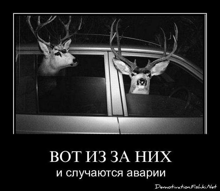 Смешной демотиватор от zubrilov за 20.05.2011 №77343