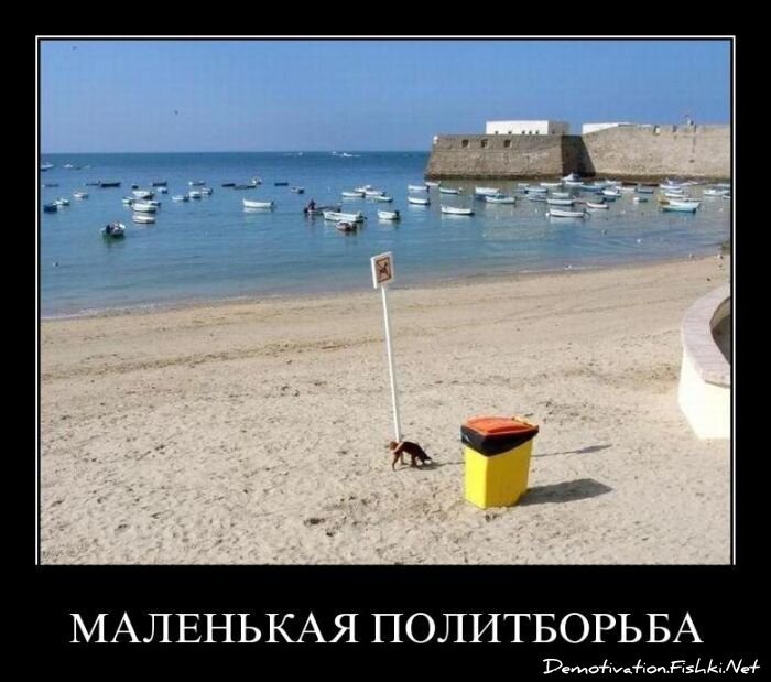 Смешной демотиватор от zubrilov за 20.05.2011 №77347