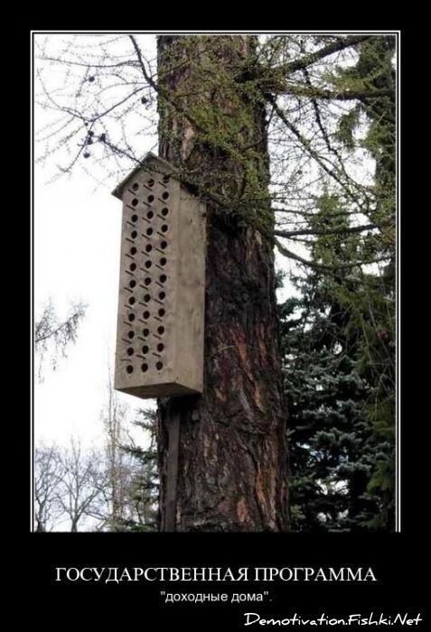 Смешной демотиватор от zubrilov за 20.05.2011 №77348