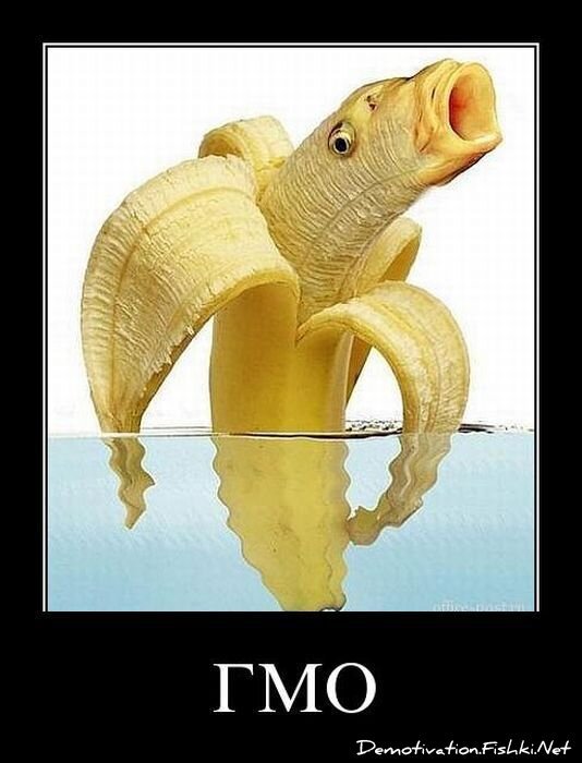 Смешной демотиватор от zubrilov за 20.05.2011 №77358