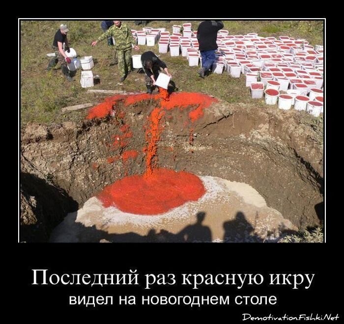 Смешной демотиватор от zubrilov за 20.05.2011 №77373