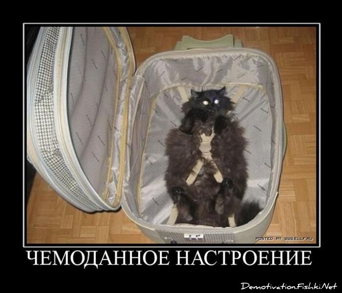 Смешной демотиватор от zubrilov за 20.05.2011 №77379