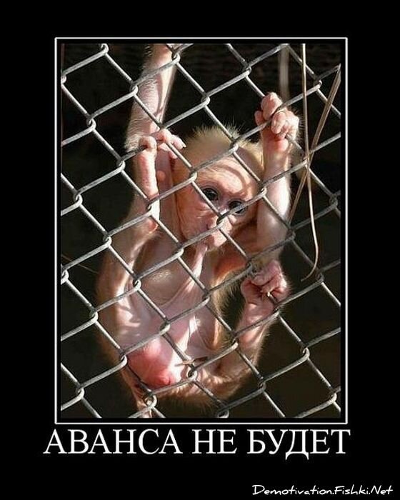Смешной демотиватор от zubrilov за 20.05.2011 №77387