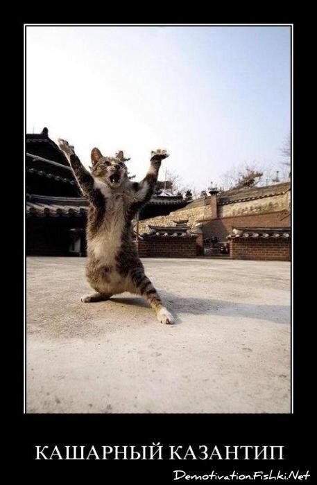 Смешной демотиватор от zubrilov за 20.05.2011 №77395