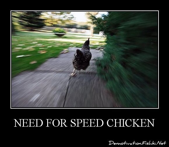 Need For Speed chicken