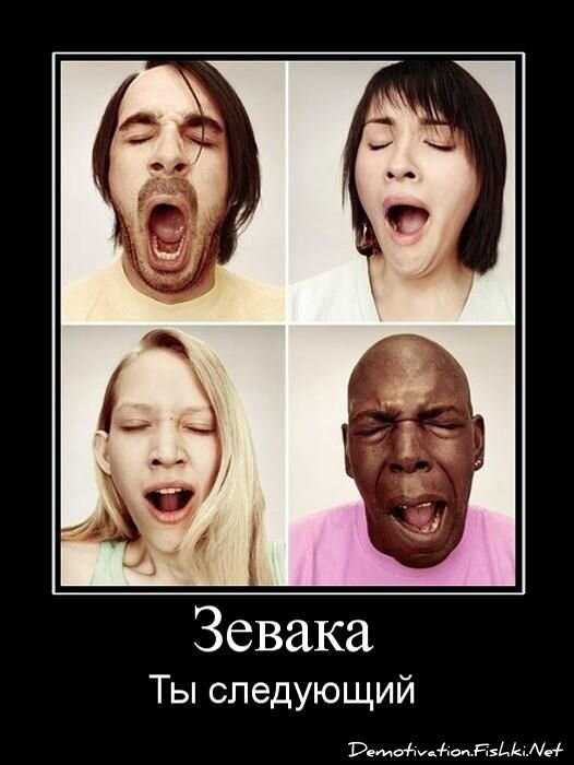 Демотиватор