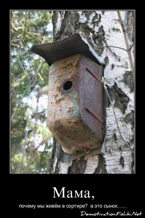 Смешной демотиватор от zubrilov за 25.05.2011 №77756