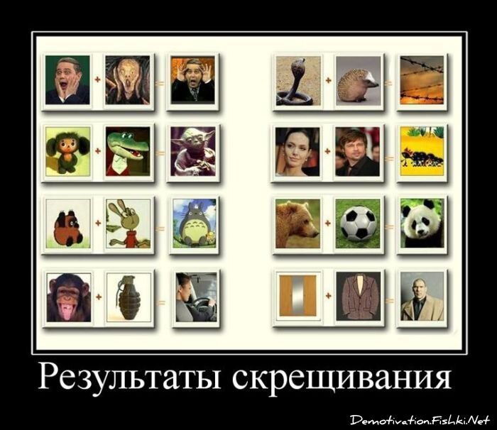 Смешной демотиватор от zubrilov за 25.05.2011 №77788