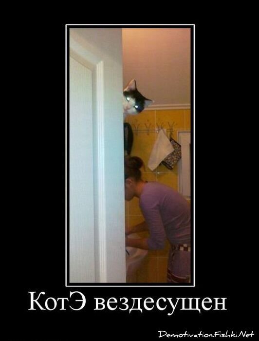 Смешной демотиватор от zubrilov за 25.05.2011 №77791