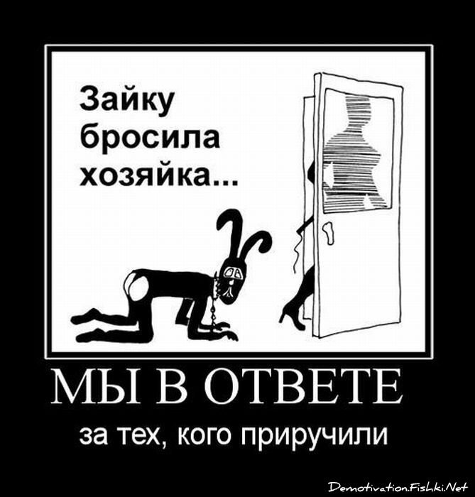 Смешной демотиватор от zubrilov за 25.05.2011 №77793