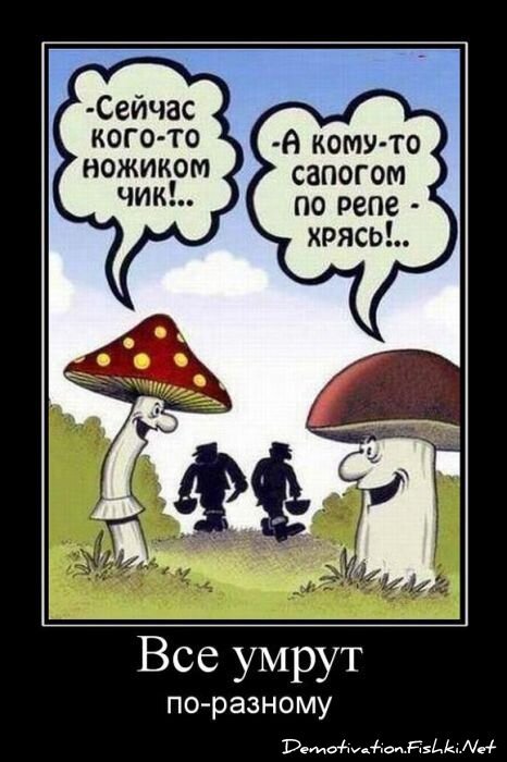 Смешной демотиватор от zubrilov за 25.05.2011 №77796