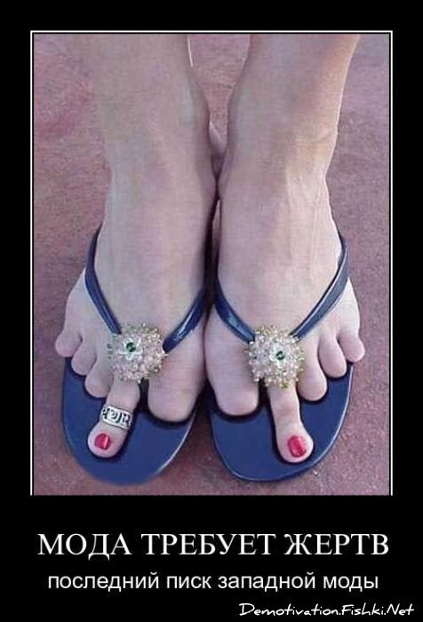 Смешной демотиватор от zubrilov за 25.05.2011 №77804