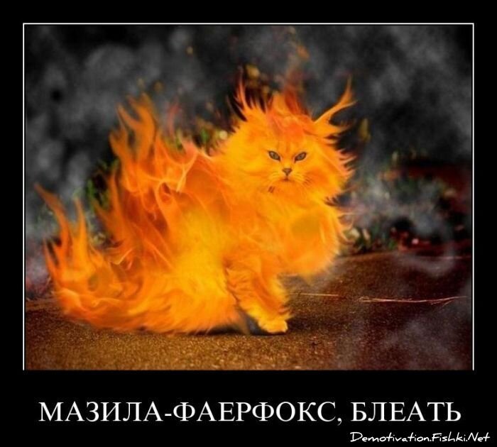 Смешной демотиватор от zubrilov за 27.05.2011 №78012