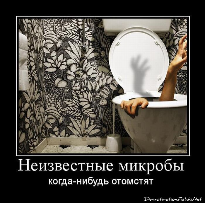 Смешной демотиватор от zubrilov за 27.05.2011 №78018