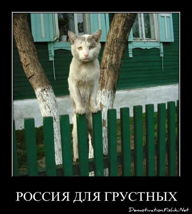 Смешной демотиватор от zubrilov за 27.05.2011 №78035