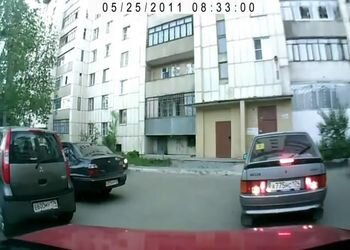 Подборка роликов