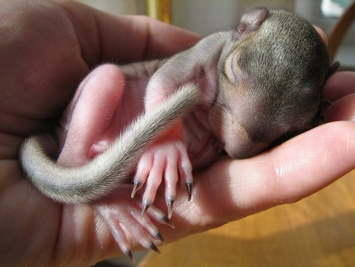 Прикольные фото и картинки от zubrilov за 31.05.2011 №78194