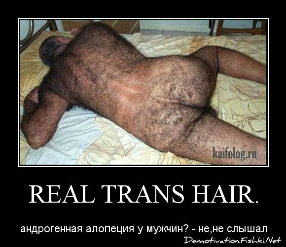 Real Trans Hair.