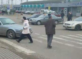 Подборка роликов